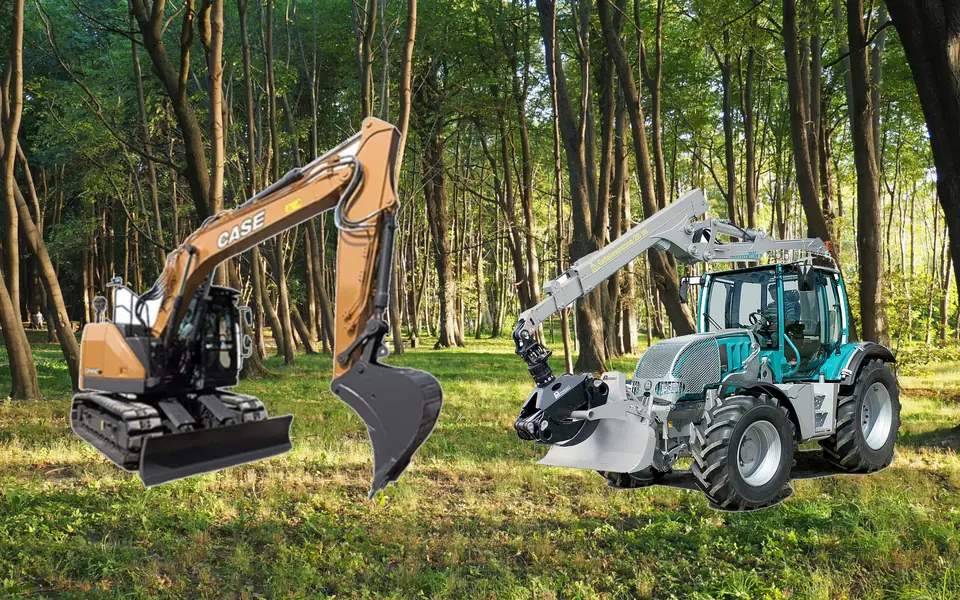 Abattage et travaux forestiers